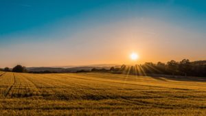 Solarthermie: Was die Sonne uns bietet